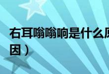 右耳嗡嗡響是什么原因（右耳嗡嗡響是什么原因）