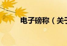 電子磅稱（關(guān)于電子磅稱的介紹）