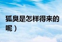 狐臭是怎樣得來的（為什么會突然間就出現(xiàn)了呢）