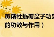 黃精牡蠣覆盆子功效與作用（黃精牡蠣覆盆子的功效與作用）