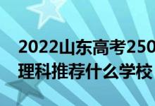 2022山東高考250-260分能報(bào)什么?？疲ㄎ睦砜仆扑]什么學(xué)校）