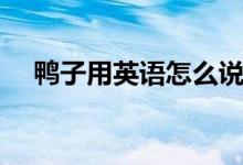 鴨子用英語(yǔ)怎么說(shuō)（鴨子用英語(yǔ)如何說(shuō)）