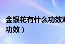金銀花有什么功效對喉嚨好嗎（金銀花有什么功效）