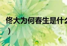 佟大為何春生是什么電視?。ㄙ〈鬄閭€人簡介）