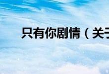 只有你劇情（關于只有你劇情的介紹）