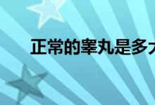 正常的睪丸是多大（睪丸多大是正常）
