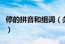 停的拼音和組詞（關(guān)于停的拼音和組詞的介紹）