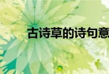 古詩(shī)草的詩(shī)句意思（古詩(shī)草的解釋）
