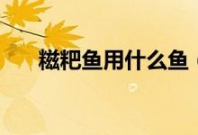 糍粑魚(yú)用什么魚(yú)（糍粑魚(yú)是用什么魚(yú)）