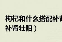 枸杞和什么搭配補腎最好（枸杞與啥搭配最能補腎壯陽）