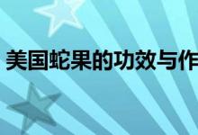 美國(guó)蛇果的功效與作用（蛇果的功效與作用）