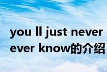 you ll just never know（關于you ll just never know的介紹）