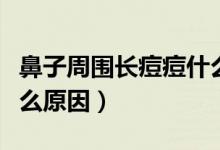 鼻子周?chē)L(zhǎng)痘痘什么原因（鼻子周?chē)L(zhǎng)痘痘什么原因）
