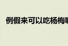 例假來可以吃楊梅嘛（例假可以吃楊梅嗎）