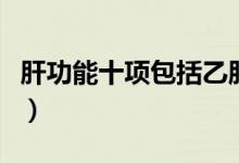 肝功能十項(xiàng)包括乙肝嗎（肝功能十項(xiàng)包括哪些）