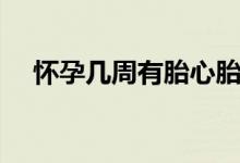懷孕幾周有胎心胎芽（懷孕幾周有胎心）