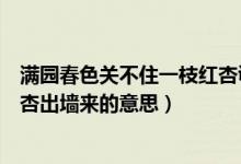 滿園春色關(guān)不住一枝紅杏諷刺什么（滿園春色關(guān)不住一枝紅杏出墻來(lái)的意思）