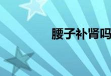 腰子補(bǔ)腎嗎（腰子補(bǔ)腎么）