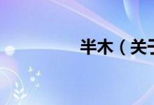 半木（關(guān)于半木的介紹）