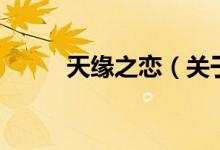 天緣之戀（關(guān)于天緣之戀的介紹）