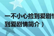 一不小心撿到愛(ài)劇情介紹（電視劇一不小心撿到愛(ài)劇情簡(jiǎn)介）