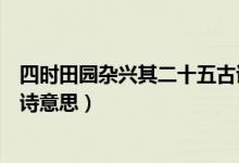 四時(shí)田園雜興其二十五古詩(shī)講解（四時(shí)田園雜興其二十五古詩(shī)意思）