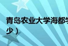 青島農(nóng)業(yè)大學(xué)海都學(xué)院評價(jià)怎么樣（排名是多少）