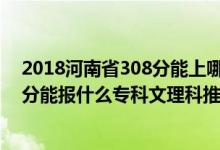 2018河南省308分能上哪些專(zhuān)科（2022河南高考290-300分能報(bào)什么專(zhuān)科文理科推薦什么學(xué)校）