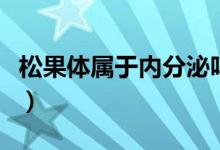 松果體屬于內(nèi)分泌嗎（松果體分泌是什么東西）