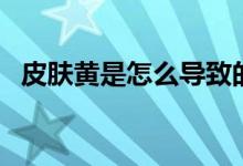 皮膚黃是怎么導(dǎo)致的（皮膚黃是怎么回事）