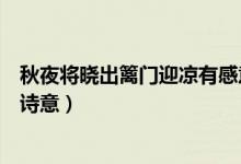 秋夜將曉出籬門(mén)迎涼有感意思（秋夜將曉出籬門(mén)迎涼有感的詩(shī)意）