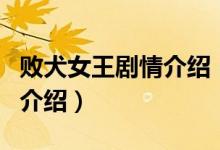 敗犬女王劇情介紹（關于敗犬女王劇情介紹的介紹）