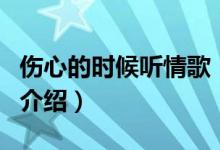 傷心的時(shí)候聽情歌（關(guān)于傷心的時(shí)候聽情歌的介紹）