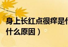 身上長紅點(diǎn)很癢是什么?。ㄉ砩祥L紅點(diǎn)很癢是什么原因）