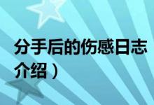 分手后的傷感日志（關于分手后的傷感日志的介紹）