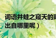 詞語(yǔ)井蛙之窺天的窺是什么意思(井蛙之窺天出自哪里呢)