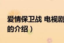 愛情保衛(wèi)戰(zhàn) 電視?。P(guān)于愛情保衛(wèi)戰(zhàn) 電視劇的介紹）