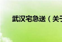 武漢宅急送（關于武漢宅急送的介紹）