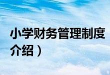 小學財務管理制度（關于小學財務管理制度的介紹）