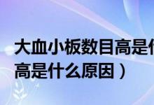 大血小板數(shù)目高是什么意思啊（大血小板數(shù)目高是什么原因）