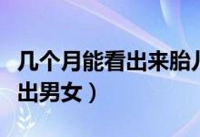 幾個月能看出來胎兒的發(fā)育正常（幾個月能看出男女）