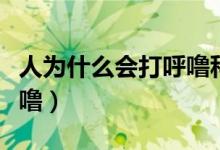 人為什么會打呼?？破找曨l（人為什么會打呼嚕）