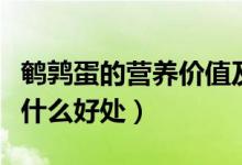 鵪鶉蛋的營(yíng)養(yǎng)價(jià)值及功效與作用（吃鵪鶉蛋有什么好處）