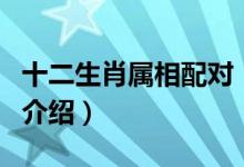 十二生肖屬相配對(duì)（關(guān)于十二生肖屬相配對(duì)的介紹）