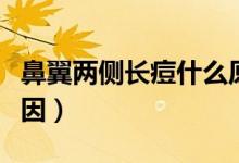 鼻翼兩側長痘什么原因（鼻翼兩側長痘什么原因）
