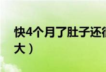 快4個月了肚子還很?。?個月了肚子有多大）