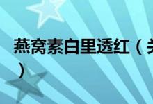 燕窩素白里透紅（關于燕窩素白里透紅的介紹）