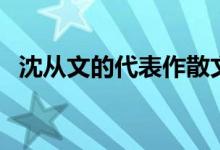 沈從文的代表作散文集（沈從文個(gè)人簡(jiǎn)介）