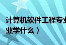 計(jì)算機(jī)軟件工程專(zhuān)業(yè)大學(xué)（計(jì)算機(jī)軟件工程專(zhuān)業(yè)學(xué)什么）