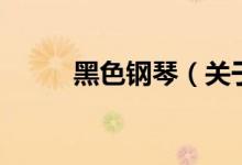 黑色鋼琴（關(guān)于黑色鋼琴的介紹）